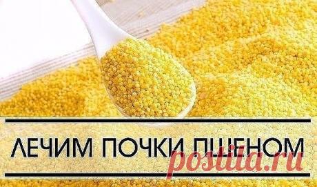 ЛЕЧЕНИЕ ПОЧЕК ПШЕНОМ ОЧЕНЬ ЭФФЕКТИВНО  
 
Пшено выводит камни и песок из почек, из мочевого пузыря, лечит цистит, помогает при женских заболеваниях.  
Статья посвящена старинным, немного забытым методам лечения почек пшеном, которые можно применять и в наши дни.  
1. Стакан пшена промыть теплой водой, высыпать в 3-литровую банку и залить все горячей водой. После этого настаивать при комнатной температуре, укрыв чем-то теплым. На следующий день Вы увидите белую взвесь в вод...