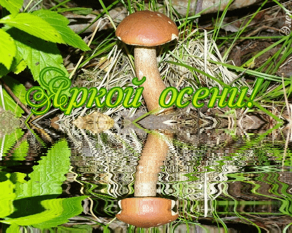 i-24574.jpg (600×479)