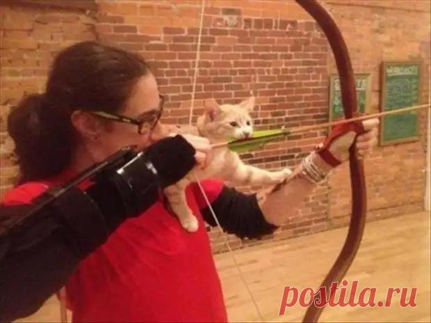 (9) Кошки всегда будут лежать там, где хочется им. Даже если вам это не нравится - ЭпиЦентр позитива - медиаплатформа МирТесен