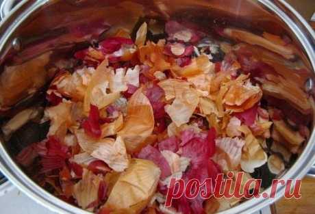 Способы использования луковой шелухи | Делимся советами