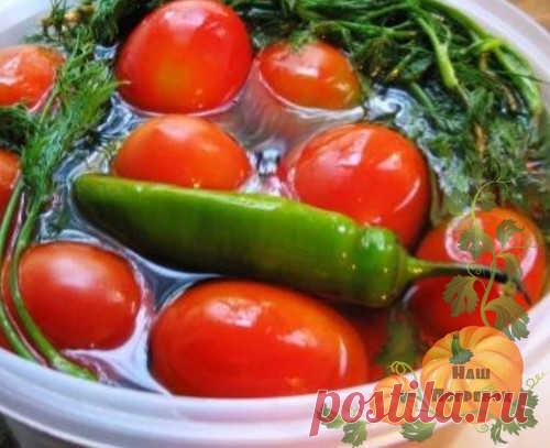 Малосольные помидоры - отличное дополнение к любому столу. Я готовлю их по рецептам быстрого приготовления в большой кастрюле, так как съедаются они очень быстро. Часто делаю в банке и пакете. очень вкусные получаются с зеленью и чесноком. Еще квашу с горчицей, тогда они стоят дольше. Еще необычные на минералке в 3-х л