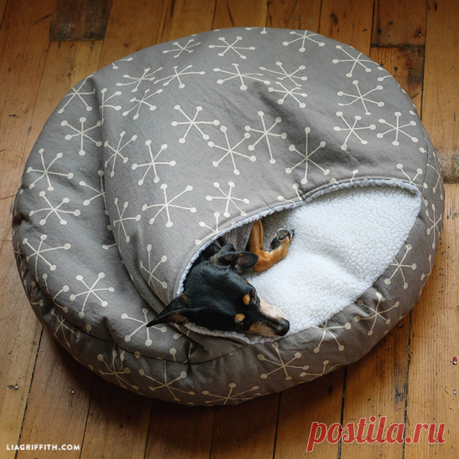 How to Make a DIY Burrow Dog Bed Learn how to make a homemade pet bed with our easy-to-follow DIY burrow dog bed photo tutorial. Pick out fabrics to match your dog's personality!