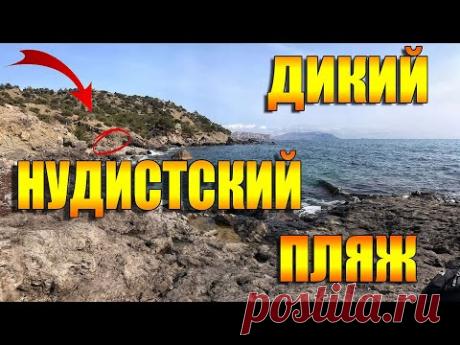 Гороховая база для фидерной прикормки