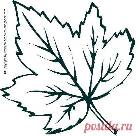 Шаблоны осенних листьев для вырезания из бумаги распечатать - сборка (17 картинок)