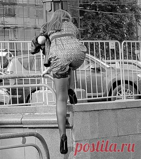 Вообще-то, задница любит не приключения, а мягкую кровать, тёплую ванну, нежное мыло, дорогое бельё... Но, кто у неё спрашивает