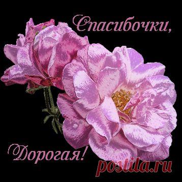 Поистине бесценные сайты - круто!!!.