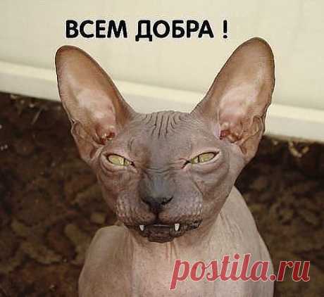 ✿*✿* ВЕРНИСАЖ *✿*✿
✵☸❈ Екатерина ❈☸✵