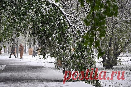 Назван день первого снега в Москве