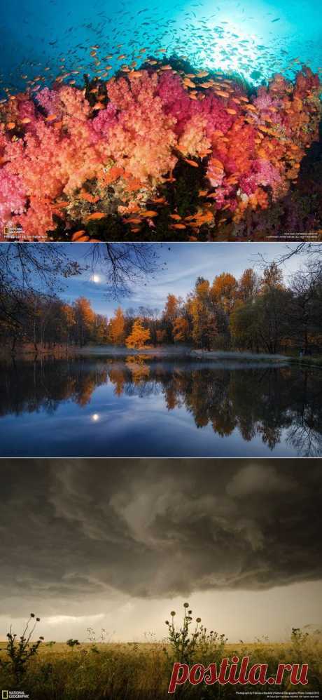 Мои подписки | Постила.ru