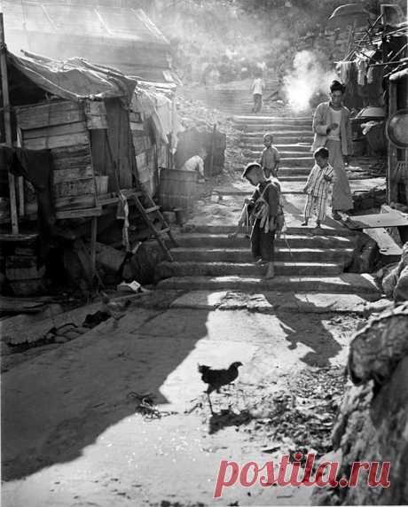 Fan-Ho-Photo-A-Hong-Kong