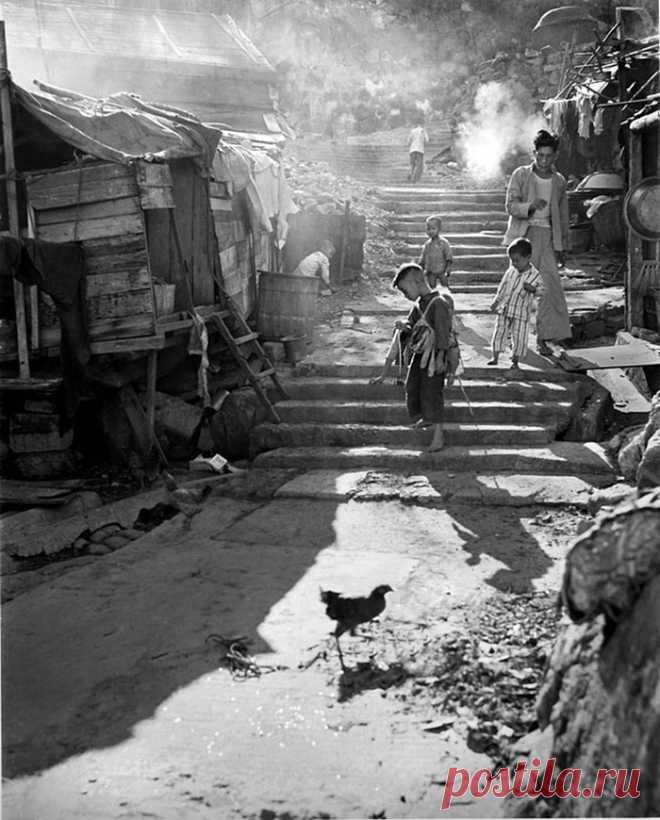 Fan-Ho-Photo-A-Hong-Kong