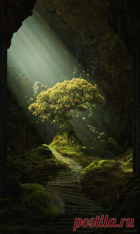 Дерево. Лучи света. Лес.