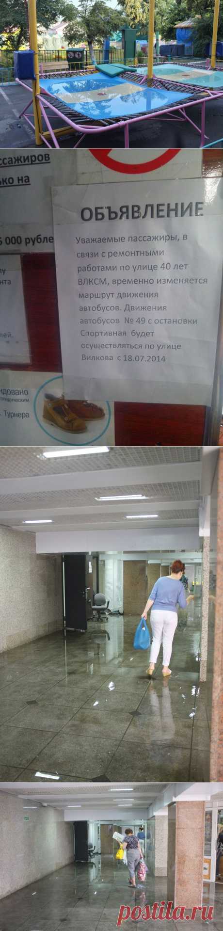 zeka_vasch: После дождика в четверг