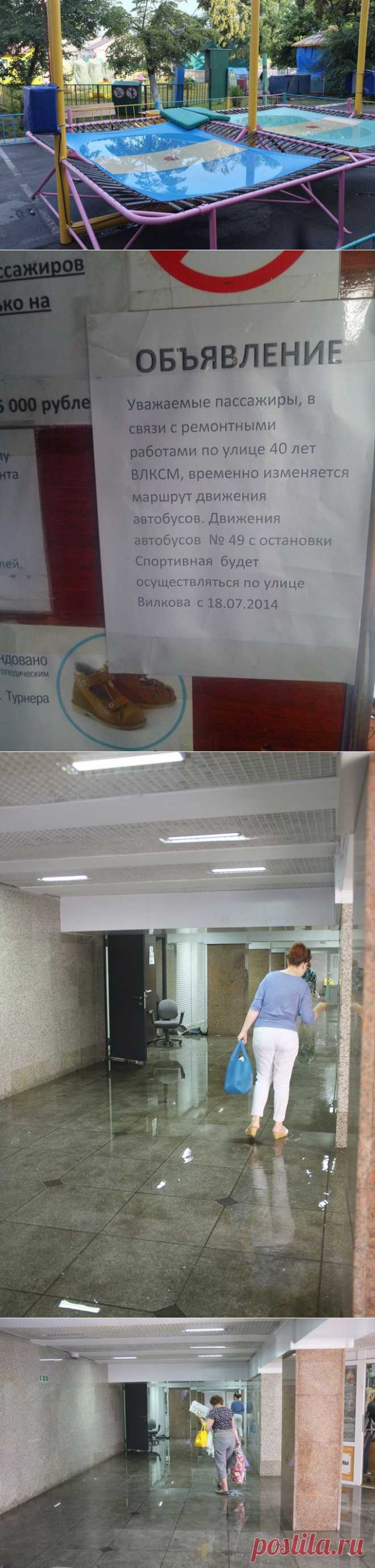 zeka_vasch: После дождика в четверг