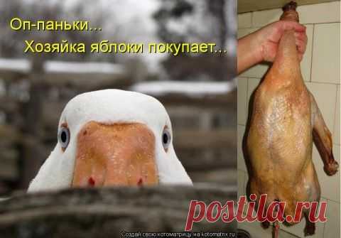 Рождественский гусь с яблоками и ягодным взваром