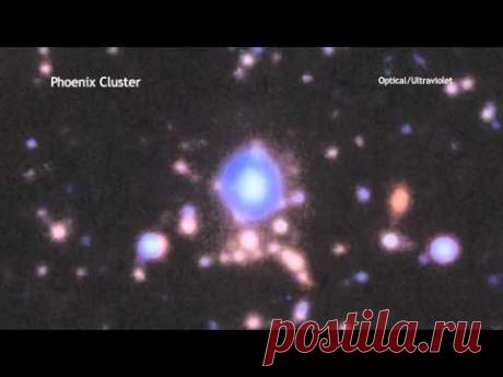 Скопление галактик Феникс: новые подробности наблюдений | АСТРОновости