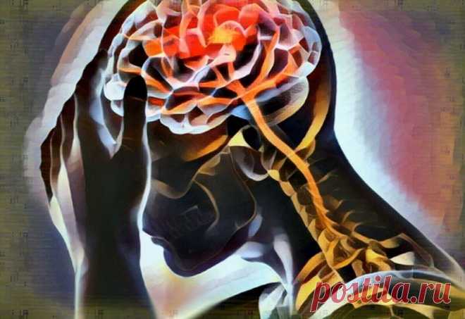 3 простых способа улучшить мозговое кровообращение | Здоровый Дух | Дзен