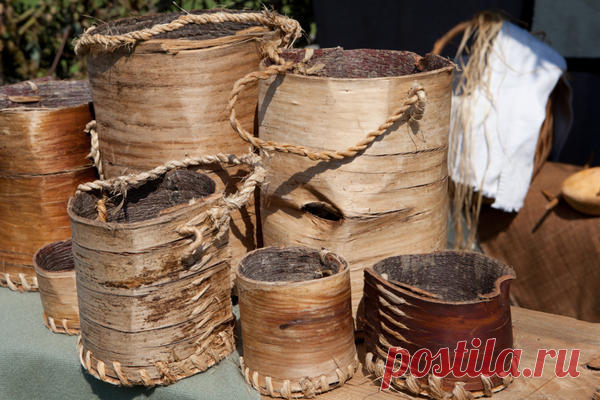 Необыкновенное преображение обыкновенного дерева