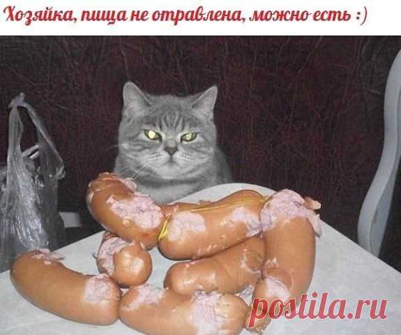 Хохол еще тот... .