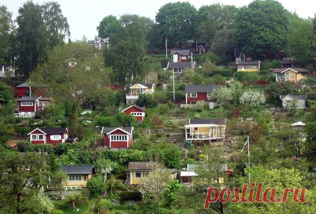 Изменения в 66-ФЗ о садоводческих, огороднических и дачных некоммерческих объединениях граждан - Статьи