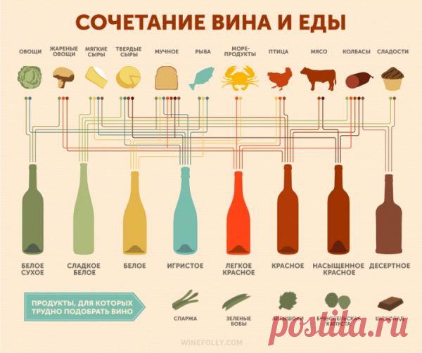 Как правильно сочетать вино и еду