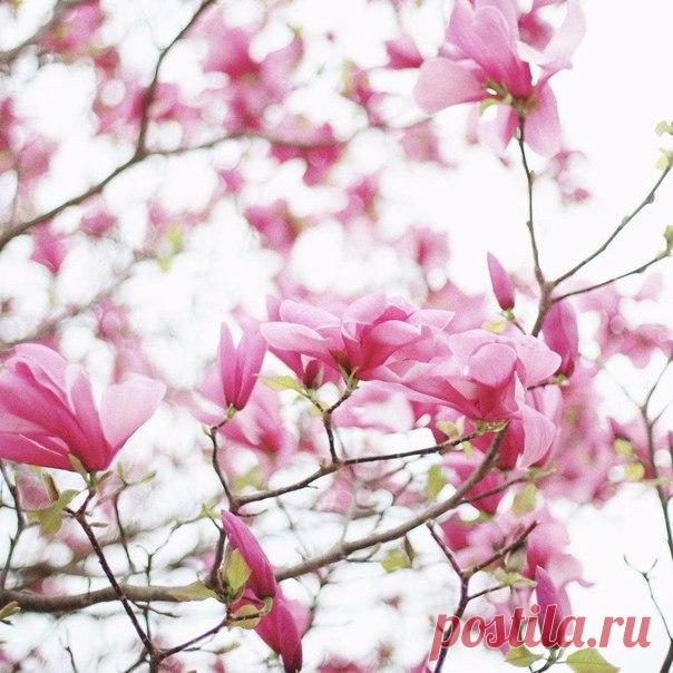 Выражаем своё сочувствие и поддержку: / Неформальный Английский