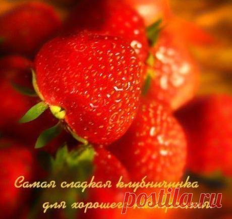 396324f9557cee5fecfffe21e18691ce.jpg (449×424)