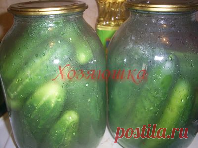 Хозяюшка. Кушать подано! - Огурцы для ленивых, а так же для тех, у кого они "взрываются"