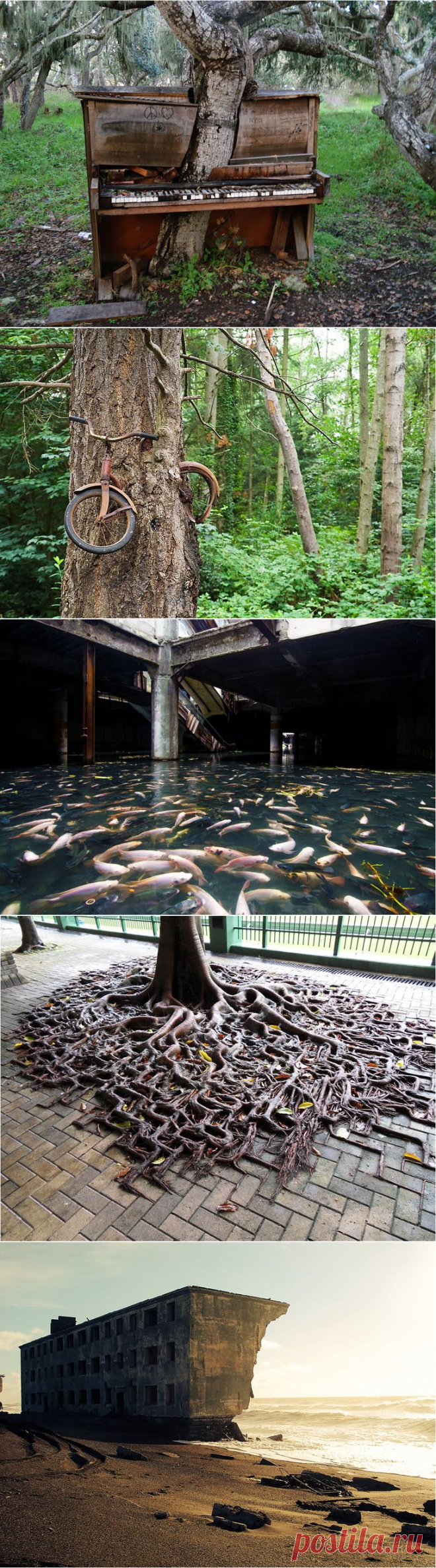 20 фотографий, где природа победила цивилизацию