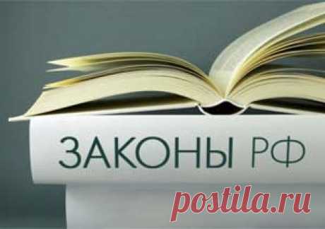 Scrutor Insigth | Scrutor Insigth для мобильных устройств
