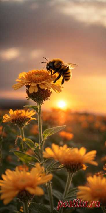 Только пчела узнаёт в цветке затаенную сладость, только художник на всем чует прекрасного след.