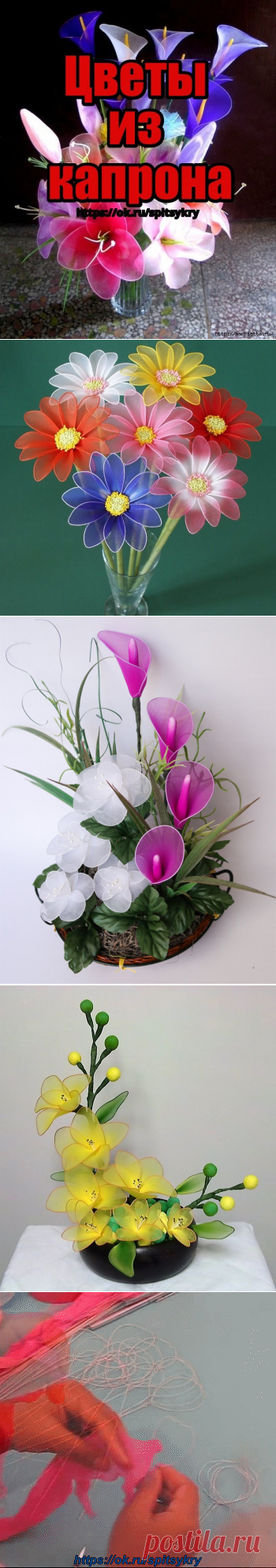 Одноклассники