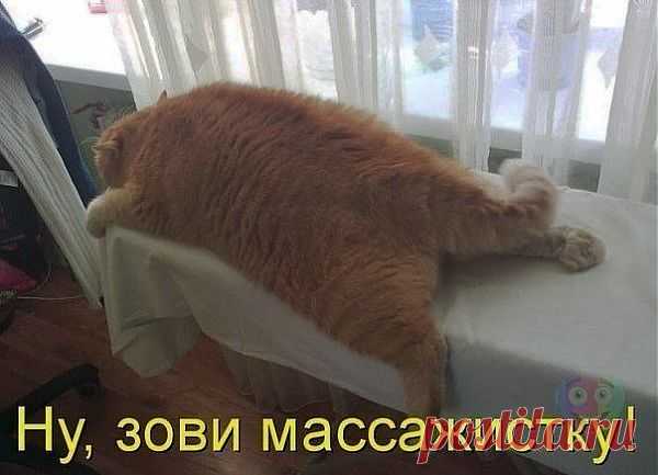 СПА ПРОЦЕДУРЫ