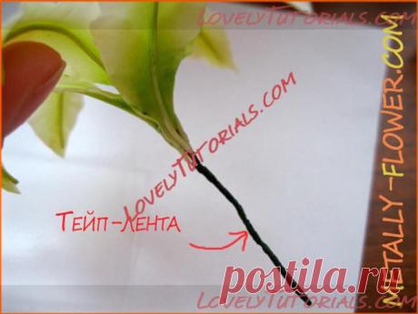 лилия,lily,lilie,giglio,lirio - Страница 4 - Мастер-классы по украшению тортов Cake Decorating Tutorials (How To's) Tortas Paso a Paso