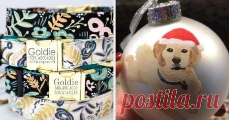 21 Things You Need If You're Totally Obsessed With Your Pet Excuse me, I'm cancelling all my plans to hang with my dog.