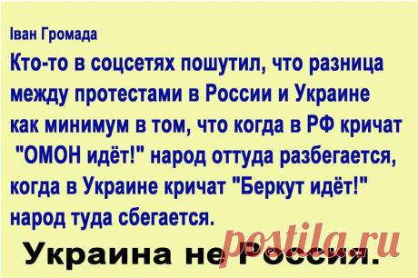 1157393_768548433173819_1351477401_n.jpg (Изображение JPEG, 960 × 639 пикселов)