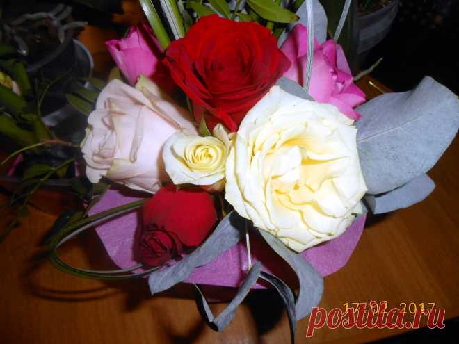Мой сегодняшний улов