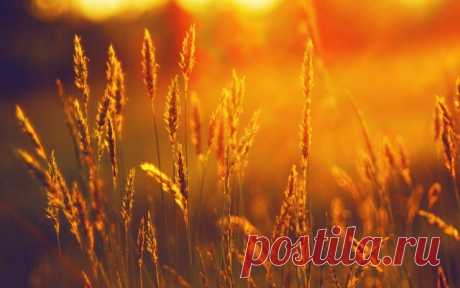 Хорошие люди похожи на теплое солнце, Которое, тучи раздвинув, выходит из тьмы. Когда целый мир над твоей неудачей смеется, Они добрым словом согреют в разгаре зимы. Хорошие люди не сразу заметны обычно, Не лезут в глаза, как отросшая челка девчат. Но в сложный момент не бывают они безразличны, У них обязательно добрый с грустинкою взгляд. Хорошие люди наивны и сентиментальны, В них сердца любовь заглушает ворчанье ума. Обидчика зло забывают они моментально, Им сложно пове..