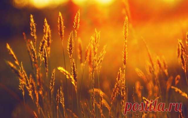 Хорошие люди похожи на теплое солнце, Которое, тучи раздвинув, выходит из тьмы. Когда целый мир над твоей неудачей смеется, Они добрым словом согреют в разгаре зимы. Хорошие люди не сразу заметны обычно, Не лезут в глаза, как отросшая челка девчат. Но в сложный момент не бывают они безразличны, У них обязательно добрый с грустинкою взгляд. Хорошие люди наивны и сентиментальны, В них сердца любовь заглушает ворчанье ума. Обидчика зло забывают они моментально, Им сложно пове..