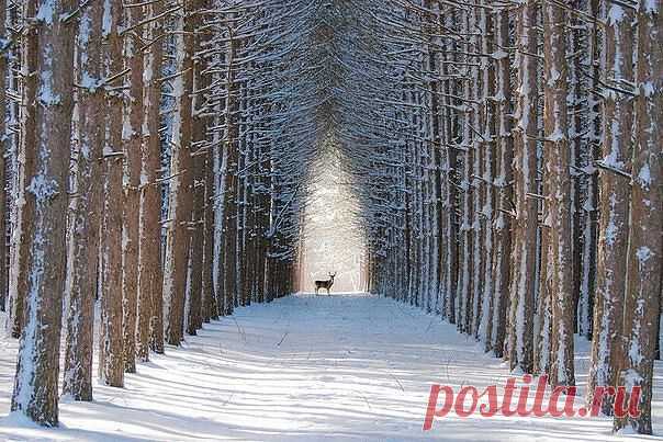 ❤ღツ Здесь вы найдёте самое интересное ✙ ВИДЕО  ❤ღツ