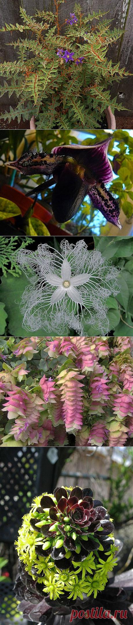 @дневники — Лесное логово