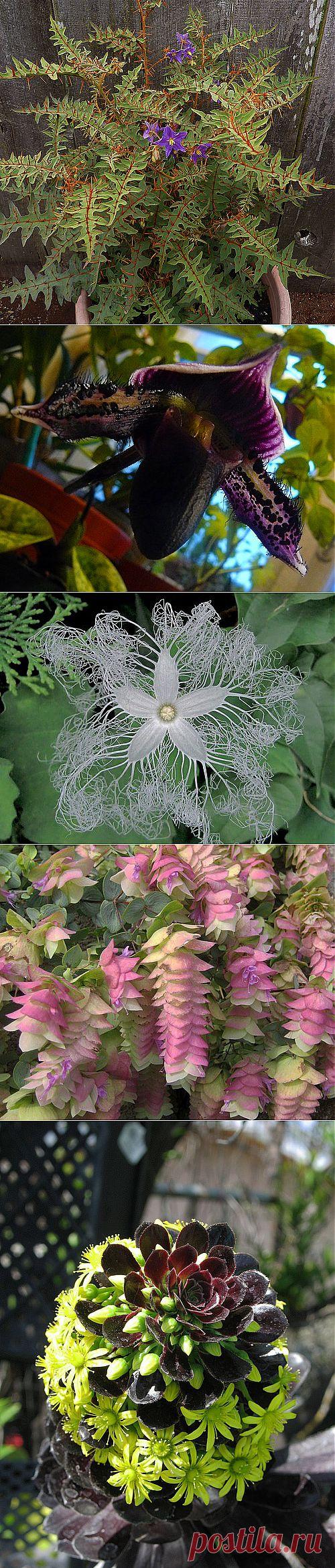 @дневники — Лесное логово