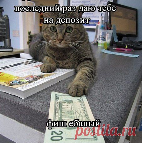 Котэ - спонсор!