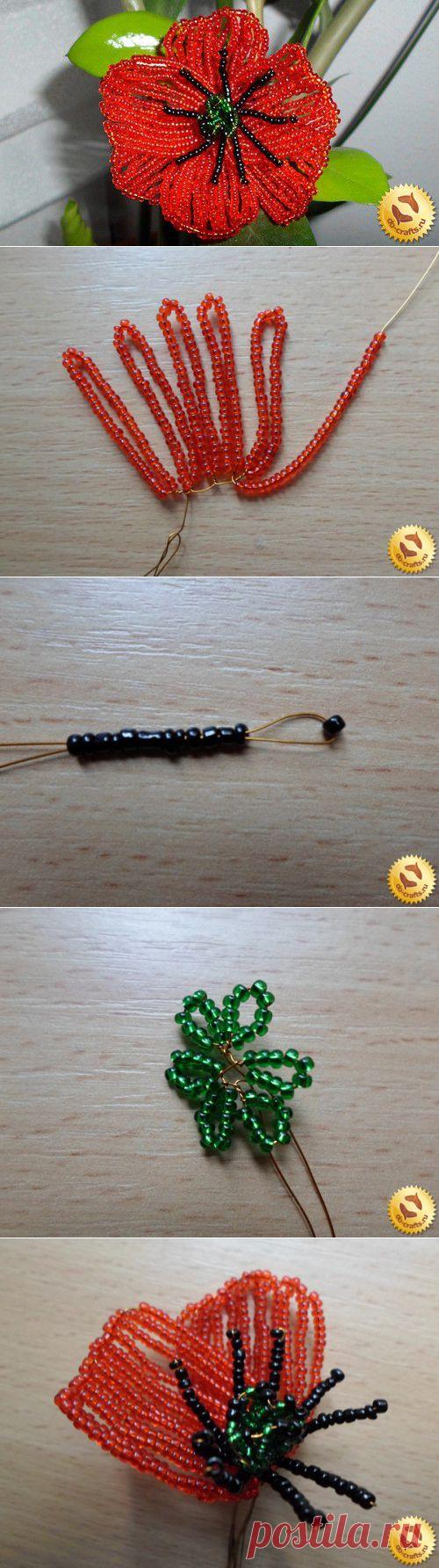 Маки из бисера, схемы плетения | Самоделкино