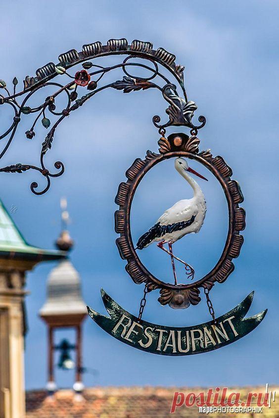 Пин на доске Travel