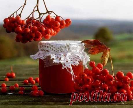 ВАРЕНЬЕ ИЗ КРАСНОЙ РЯБИНЫ С ГРЕЦКИМ ОРЕХОМ