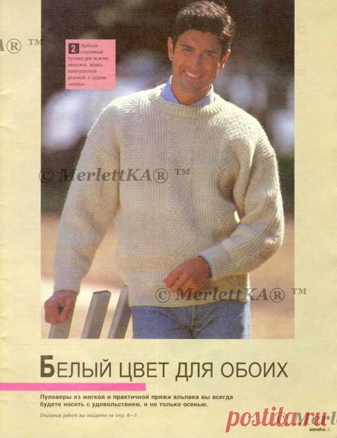 SANDRA 1993-04 - КРАСИВАЯ ИНТАРСИЯ, ВЫШИВКА ГЛАДЬЮ И КОШКИ / ЖУРНАЛЫ и КНИГИ - самое популярное и интересное