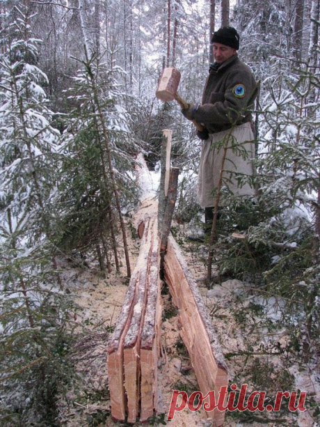Робинзон в тайге