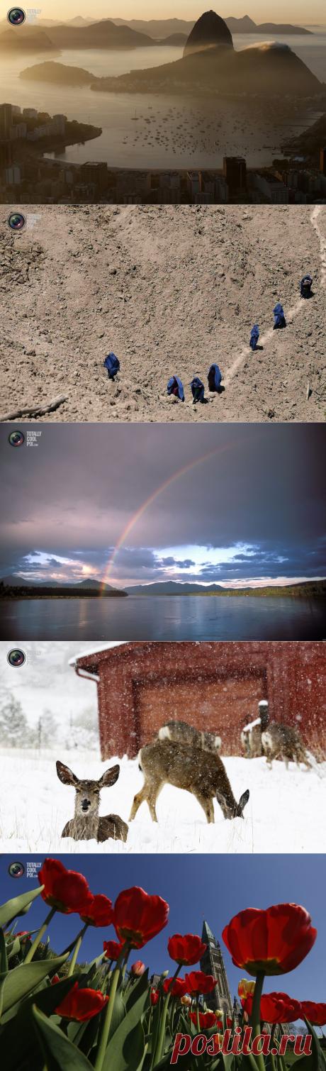 ФотоТелеграф » Неделя в фотографиях