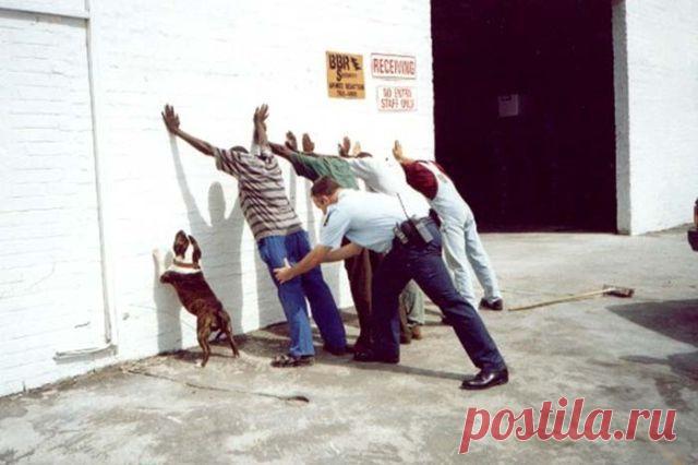 Всем к стене, ноги на ширину плеч!!!